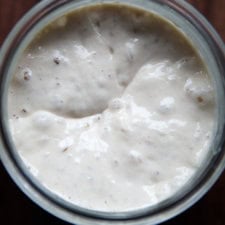 How to Feed, Maintain, and Store a Sourdough Starter